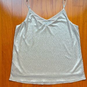 Silvery shimmering cami